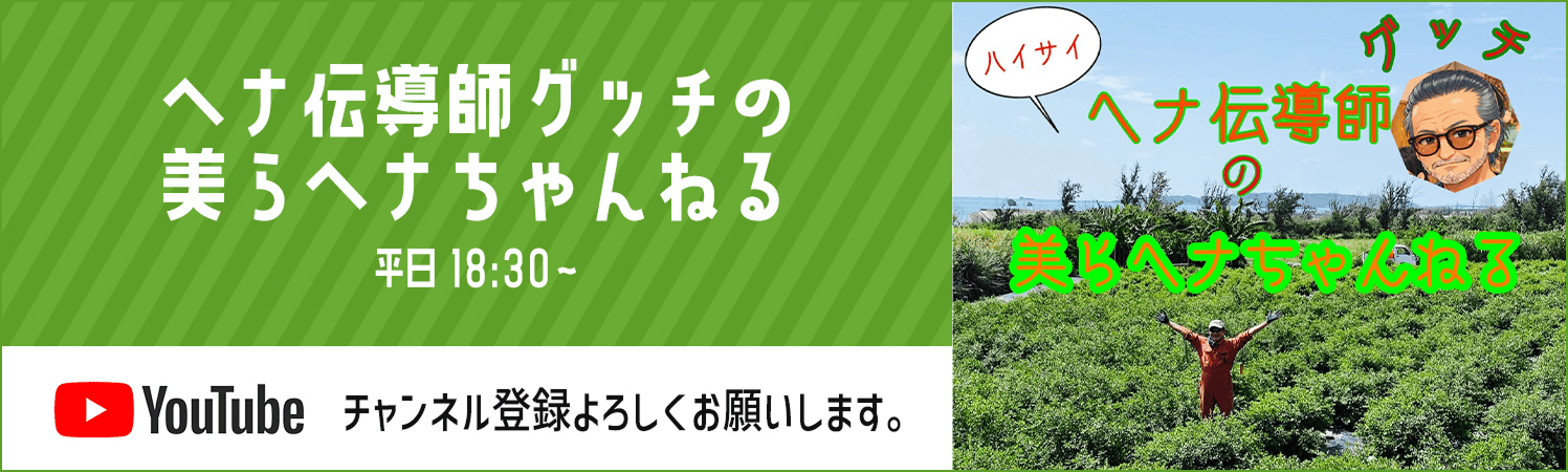 ヘナ伝道師グッチの美らヘナちゃんねる